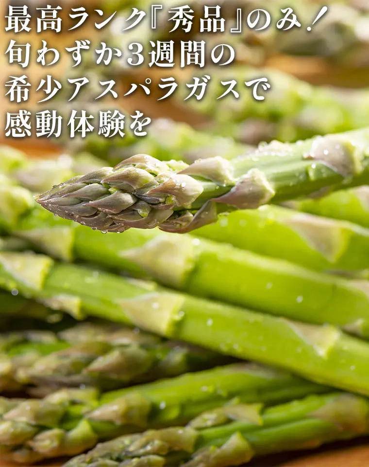 最高ランク『秀品』のみ！旬わずか3週間の希少アスパラガスで感動体験を