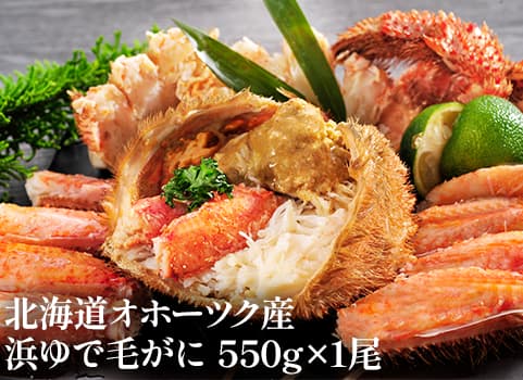 浜ゆで毛がに 550g×1尾（毛がに：北海道オホーツク産・ボイル冷凍）