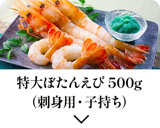 特大ぼたんえび 500g（刺身用・子持ち）