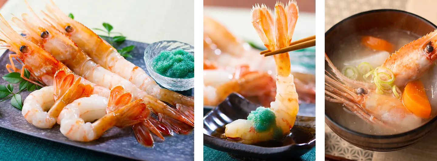 特大ぼたんえび