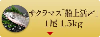サクラマス「船上活〆」1尾 1.5kg（北海道 日高産・生冷凍）