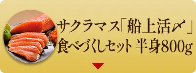 サクラマス「船上活〆」食べづくしセット 半身800g（サクラマス：北海道 日高産）