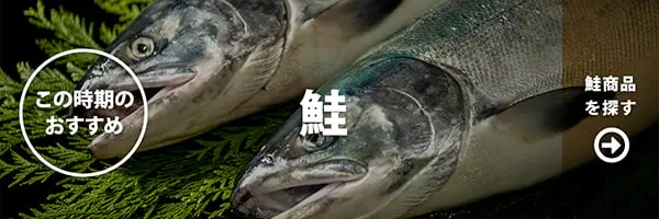 この時期おすすめのカテゴリー　鮭カテゴリーページへ