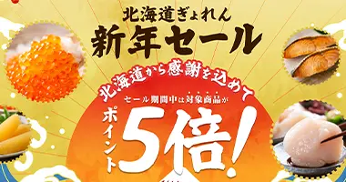 新年セール特集